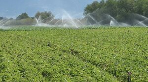 Σε Γενική Συνέλευση οι αγρότες της Ιεράπετρας για τη λειψυδρία