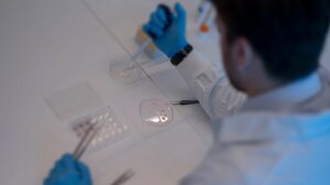 Ευλογιά των πιθήκων: Τα κρούσματα ξεπέρασαν τα 1.000 σε 29 χώρες