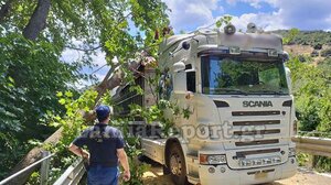 Φθιώτιδα: Πλάτανος έπεσε σε φορτηγό