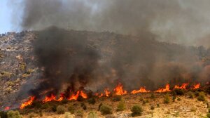 Υπό μερικό έλεγχο η πυρκαγιά στην Ύδρα