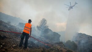 Πυροσβεστική: 42 πυρκαγιές εκδηλώθηκαν το τελευταίο εικοσιτετράωρο