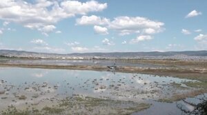 Λύθηκε το μυστήριο με την ακέφαλη σορό που εντοπίστηκε στο Καλοχώρι