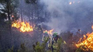 Δασική πυρκαγιά στην Ισπανία