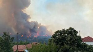 Φωτιά στον Έβρο: Δραματική η κατάσταση στο προστατευόμενο δάσος της Δαδιάς