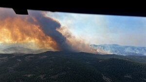 Στυλιανίδης: Χρέος μας να σωθεί το Εθνικό Πάρκο Δαδιάς