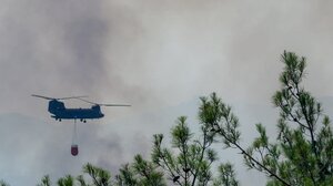 Και ο στρατός στις πυρκαγιές σε Δαδιά Έβρου και Βατερά Λέσβου