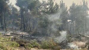 Φωτιά στη Δαδιά: Παραμένει ενεργό το μέτωπο προς το Λύρα