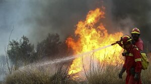 Υπό πλήρη έλεγχο η φωτιά στην Εύβοια - Βελτιωμένη η εικόνα στα Σπάτα