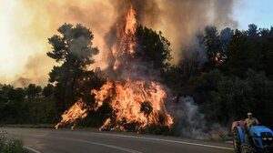 Φωτιές: Καλύτερη η εικόνα των πυρκαγιών σε Ηλεία, Κορινθία και Καβάλα 