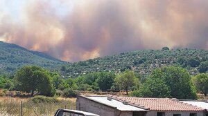 Φωτιές: Πάνω από 25.000 στρέμματα κάηκαν στη Δαδιά, 17.000 στην Λέσβο