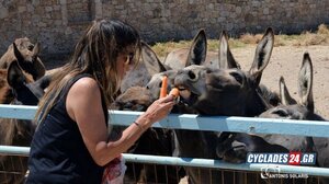 Φιλοξενεί στο σπίτι της 17 γαϊδουράκια! 