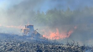 Παραμένουν στο δάσος της Κέρης οι πυροσβεστικές δυνάμεις