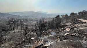 Χωρίς ενεργό μέτωπο η φωτιά στη Λέσβο