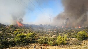 Φωτιά στη Μάνδρα Αττικής: Μήνυμα του 112 για εκκένωση