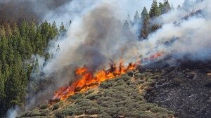 Πολύ καλύτερη εικόνα παρουσιάζει η πυρκαγιά στη Μάνδρα