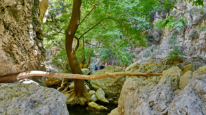 Στο καταπράσινο φαράγγι του Πατσού περπατά ο ΠΟΗ