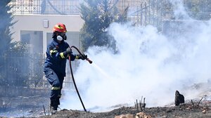 Η Τεχνητή Νοημοσύνη βοηθά στην αντιμετώπιση των δασικών πυρκαγιών