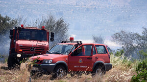 Φωτιά τώρα στη Βοιωτία - Καίγεται δασική έκταση