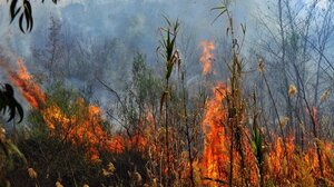 Συναγερμός για το φαινόμενο Hot Dry Windy - Ποιες περιοχές της Κρήτης είναι στο «κόκκινο»