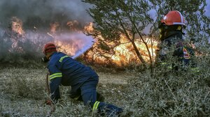 Κοινοβουλευτική παρέμβαση για την πυροπροστασία του πευκοδάσους της Σύμης