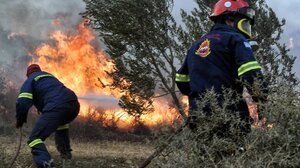 Φωτιά στο Σουφλί: Καίει αγροτοδασική έκταση στην περιοχή Λάβαρα