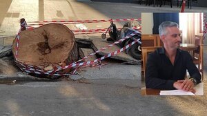 Καλός ο Αναστασάκης ... καλύτερη η αλήθεια!