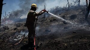 Υπό πλήρη έλεγχο οι φωτιές σε Μάλγαρα Θεσσαλονίκης και Καλλικράτεια Χαλκιδικής