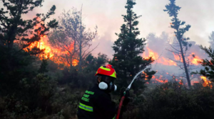 Λεχαινά: Στο νοσοκομείο πυροσβέστης μετά από δάγκωμα φιδιού