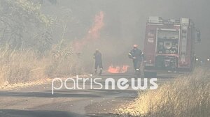 Πύργος: Μεγάλη φωτιά στη γέφυρα Αλφειού