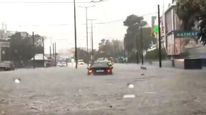 Κακοκαιρία στην Αττική: Έπεσε δέντρο, έκλεισαν δρόμο, δεκάδες οι κλήσεις στην πυροσβεστική