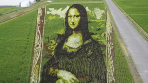 Η «Mona Lisa» σε ρυζοχώραφο στην Ιαπωνία