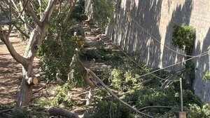 Τι γίνεται στο πάρκινγκ πίσω από το πάρκο;