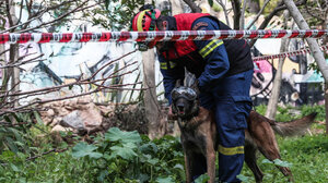 Όλυμπος: Νεκρός ορειβάτης που έπεσε σε γκρεμό