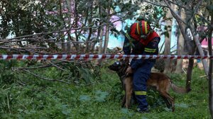 Τον αναζητούσαν επί 3 ημέρες, εμφανίστηκε τη νύχτα και… ζήτησε μια μπύρα!