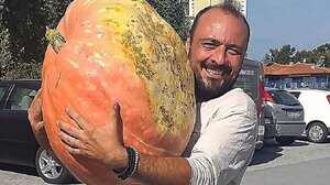 Χαλκιδική: Καλλιεργεί κολοκύθες γίγας!