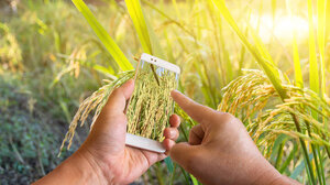 Γεωργαντάς: «Έχει αρχίσει η πίστωση στους λογαριασμούς των αγροτών περίπου 900 εκατ. ευρώ»