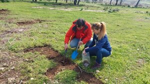 Πιλοτική τεχνική αναδάσωσης μέσω drone