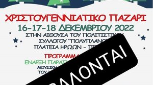 Περιβόλια: Αναβάλλονται όλες οι Χριστουγεννιάτικες εκδηλώσεις, λόγω πένθους