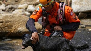 Βραζιλία: Κατολίσθηση έκοψε αυτοκινητόδρομο στα δύο - Νεκροί και δεκάδες αγνοούμενοι