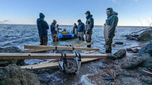 Απολιθωμένο κρανίο φάλαινας, 12 εκατομμυρίων ετών, ανακαλύφθηκε στο Μέριλαντ