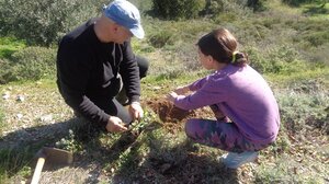 Φύτεψαν δέντρα στο Αστυράκι