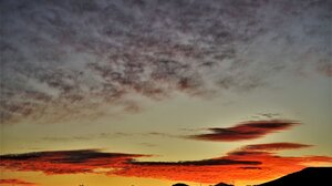 Ένα χρωματιστό “κοπάδι” της Ανατολής