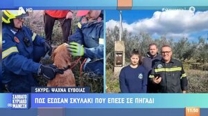 Πώς έσωσαν σκυλάκι που έπεσε σε πηγάδι