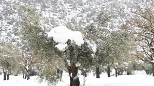 Στους -11 η ελάχιστη θερμοκρασία το πρωί της Τετάρτης