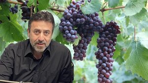 Ν.Δουλουφάκης: Τα κρητικά κρασιά έχουν κάνει άλματα τα τελευταία χρόνια! 