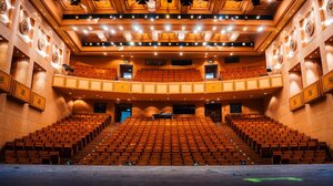 ΠΟΘΑ: Η ΚΥΑ αντιμετωπίζει τους καλλιτέχνες ως ανειδίκευτους