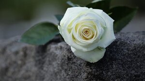 Θλίψη στην ΕΛ.ΑΣ για τον θάνατο του ταξίαρχου Εμ. Κονσολάκη