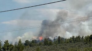 Αχαΐα: Σε εξέλιξη δύο φωτιές σε αγροτοδασικές εκτάσεις