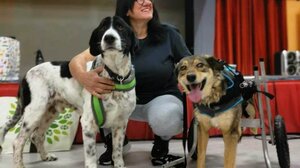 Η Ζωφόρος και ο Δήμος Ηρακλείου εκπαιδεύει το 48ο Δημοτικό Σχολείο Ηρακλείου