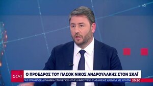 Ανδρουλάκης: «Ισχυρό ΠΑΣΟΚ, που θα δημιουργήσει τις συνθήκες μίας καλύτερης προοπτικής»